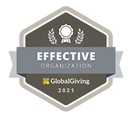 effectiveNonprofit_2021