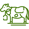 qurbani qurbani