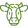 vaca vaca